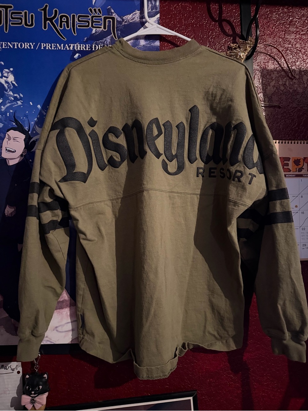 Disney Disneyland Spirit Jersey - Picture 3 of 4